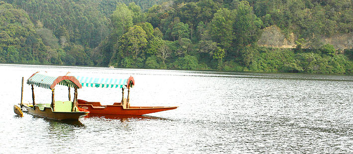 South India Tour with Ooty