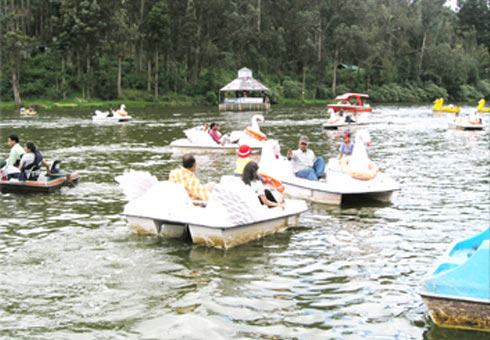 South India Tour with Ooty