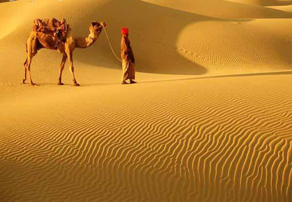 Rajasthan Tour