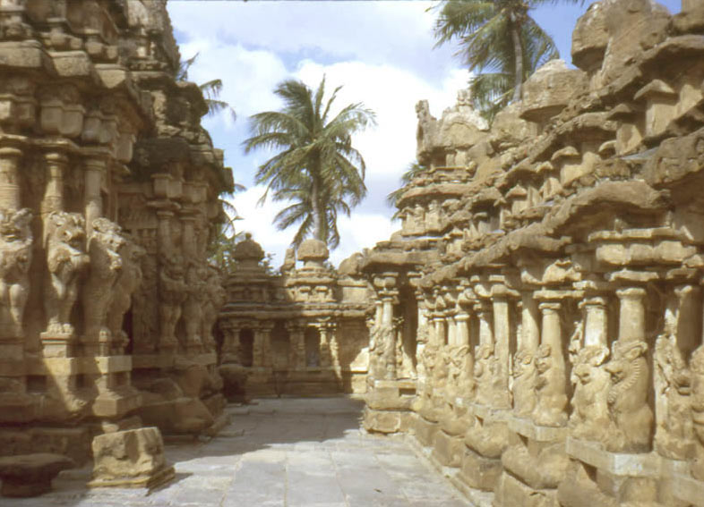 Amezing Tour of South