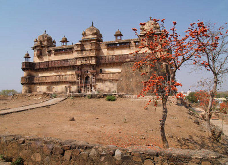 Best Tour of Madhya Pradesh