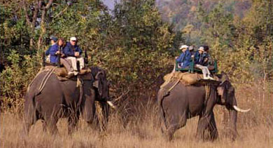 Tour of Jabalpur with Bandavgarh