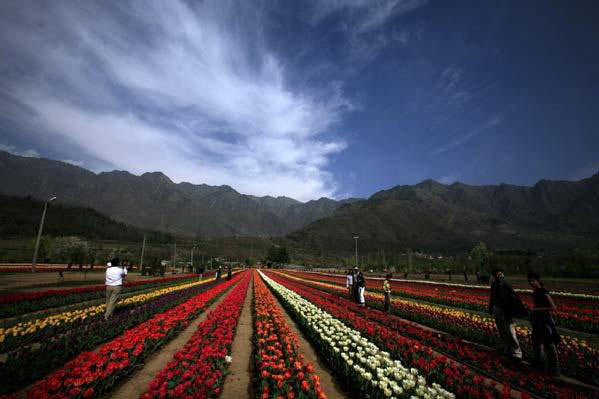 Honeymoon in Kashmir