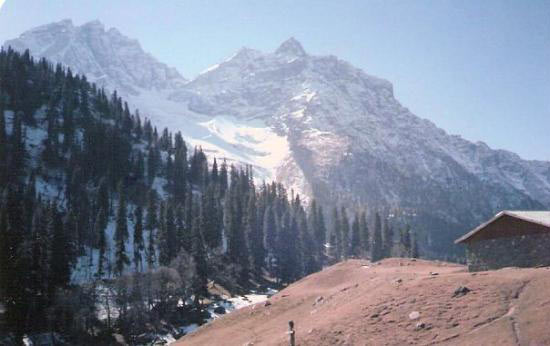 Honeymoon In Kashmir