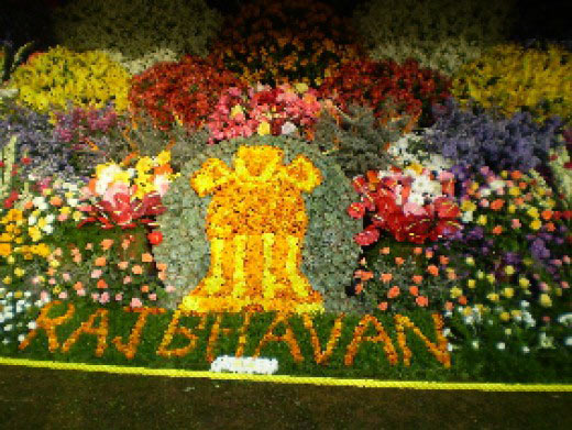 Queen of Blue Mountains Tour