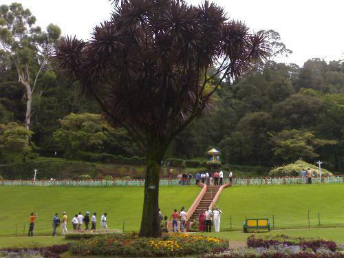 Queen of Blue Mountains Tour