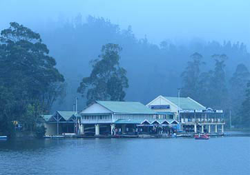 Amazing Tour of Blue Mountains