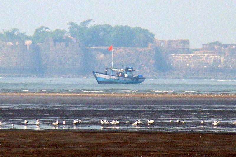 Amazing Tour of Alibaug with Lonavala