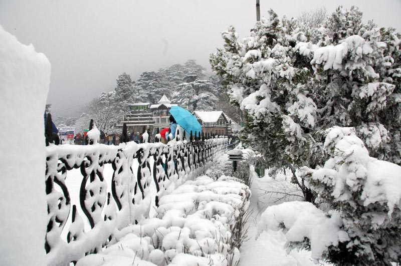 Best of Nainital Tour