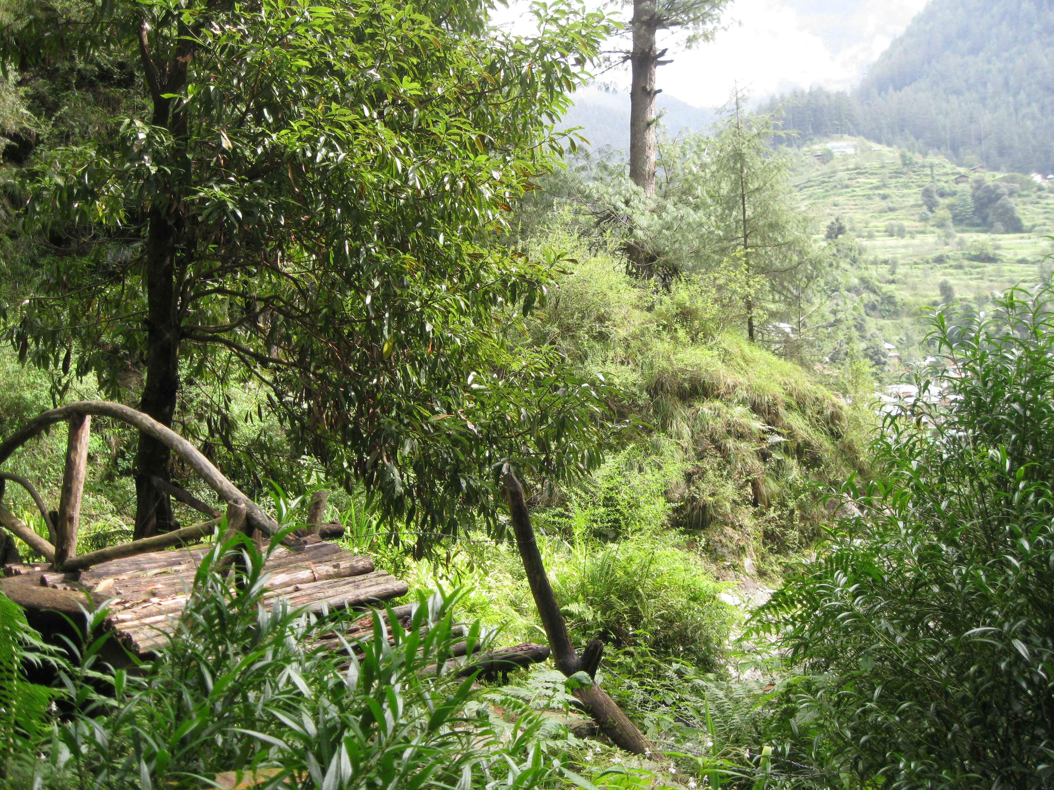 Delhi - Manali - Jibhi - Shimla Tour