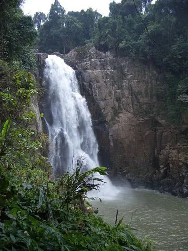 Elephant Roundup at Surin 2013