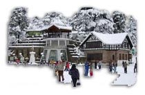Shimla Kullu Manali Honeymoon Package 