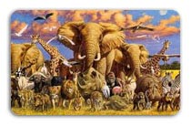 North India Wildlife Tour