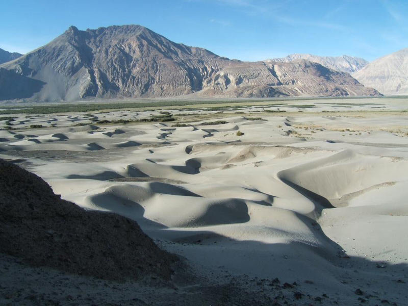 Ladakh Sand Dunes Tour
