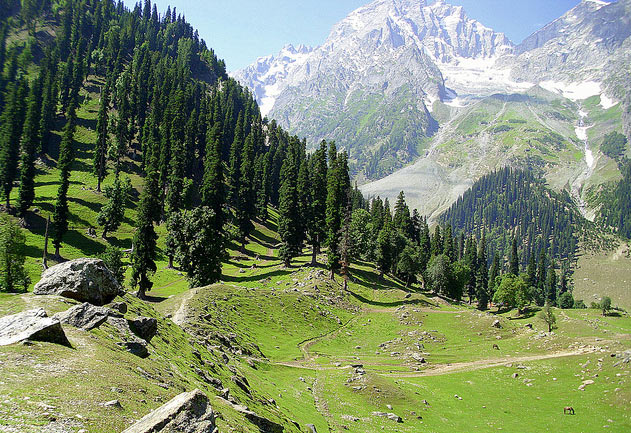 Kashmir Gangabal Trek