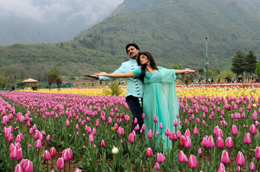 Vaishno Devi With Heaven Of World Kashmir