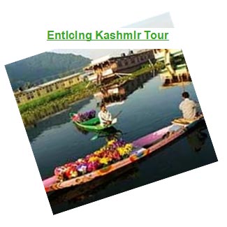 Enticing Kashmir Tour