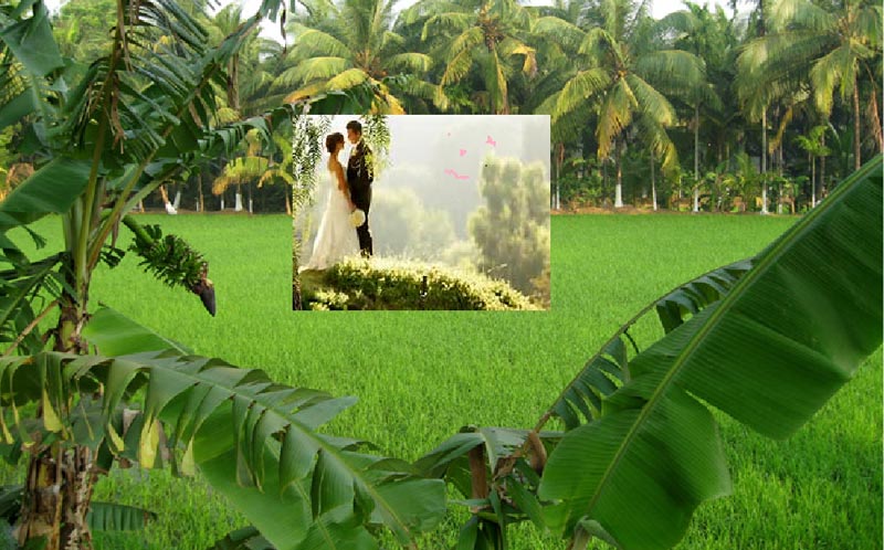 Honeymoon In Kerela