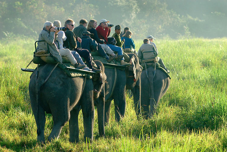 Kaziranga Elephant Safari Tour 2N / 3D
