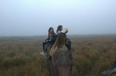Assam Wildlife Tour 4 N /5 D