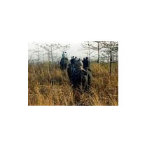 Wildlife Tour In Manas National Park 3 N /4D