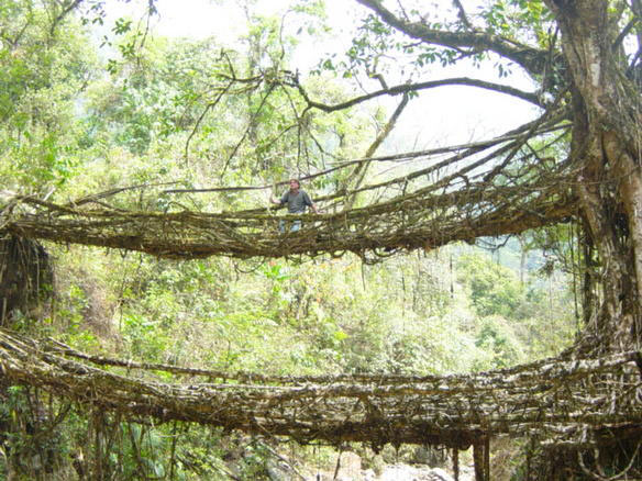 East Zone Tour 13 N / 14 D