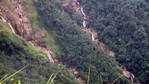 Hill Station Tour 5 N / 6 D