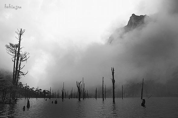 Arunachal Paredesh Monastic Tour