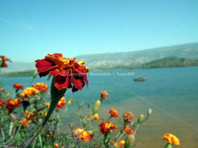 Mini Kashmir 4 Days Tour Image