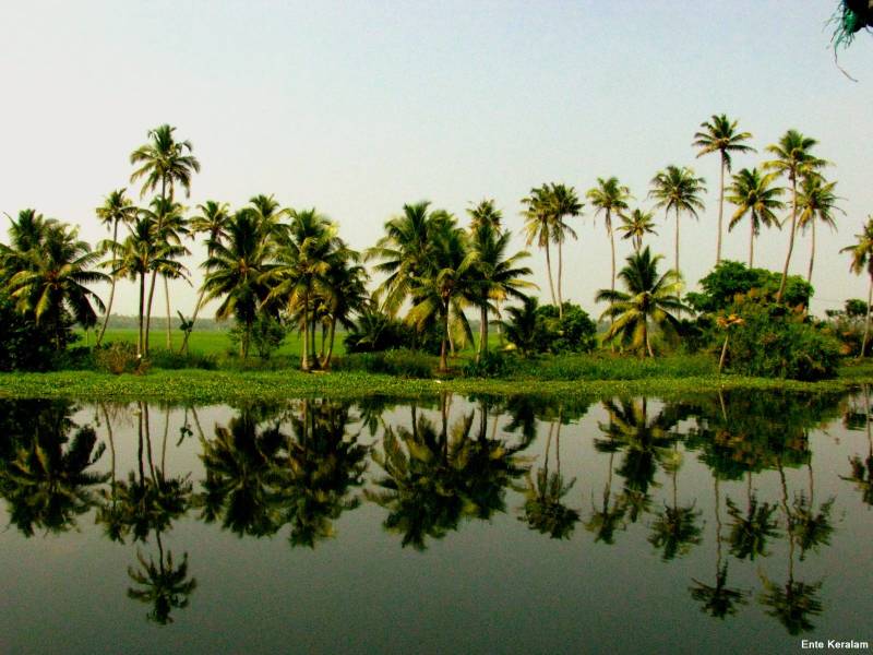 Kerala Tour Package 6 Days Image