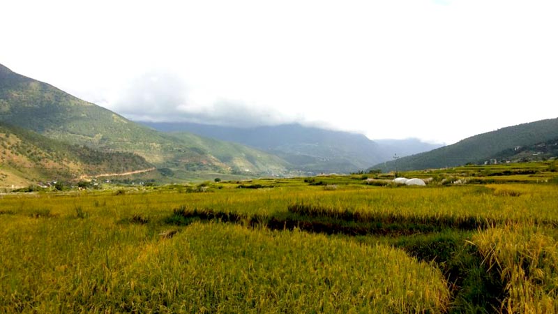 Group tour to Bhutan