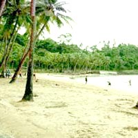 Enjoy Holidays In Andaman Tour Package