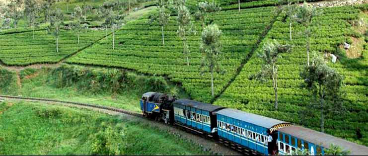 pune to coorg tour packages