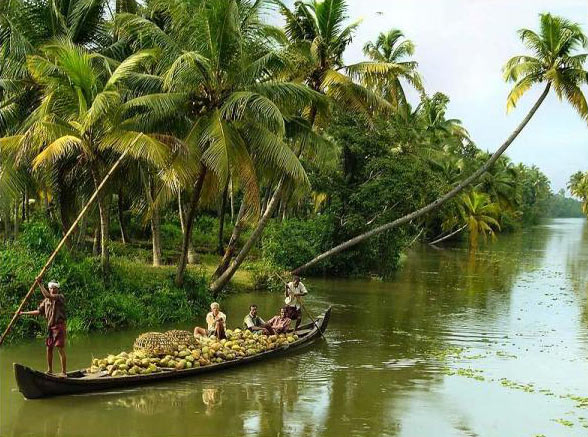 Authentic Kerala Package