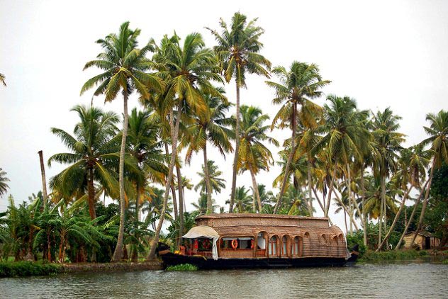 Kerala Hill Station & Backwaters Honeymoon Tour