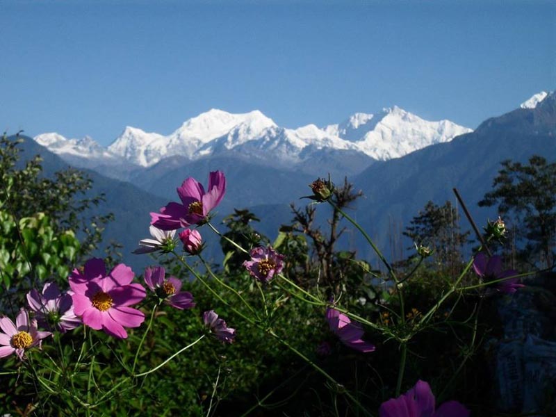 Beauty of North Sikkim Tour