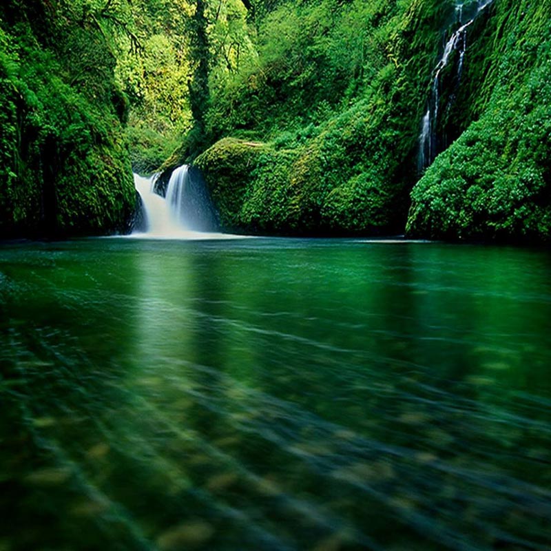 Beautiful Hills & Himalayas Package