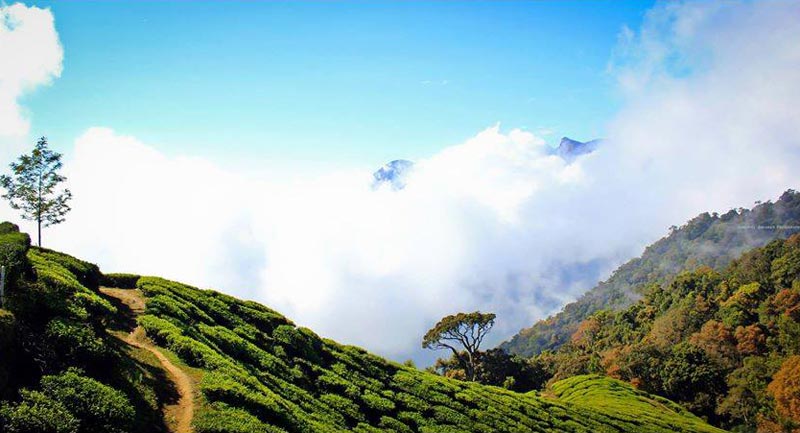 Really Spice Lands Tour