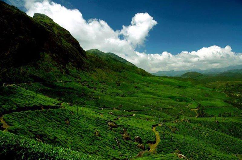 Really Spice Lands Tour