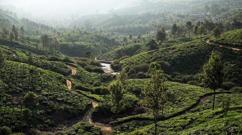 Hilly Back Water & Beaches Tour