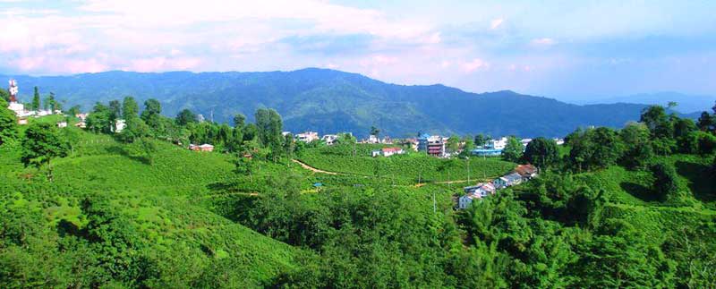 Under The Mistic Cloud Tour