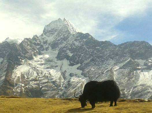 Under The Mistic Cloud Tour