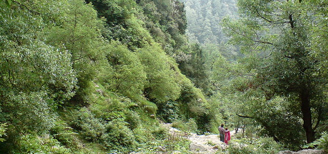 Kullu Manali Tour