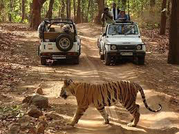 North And Central India Tour With National Park