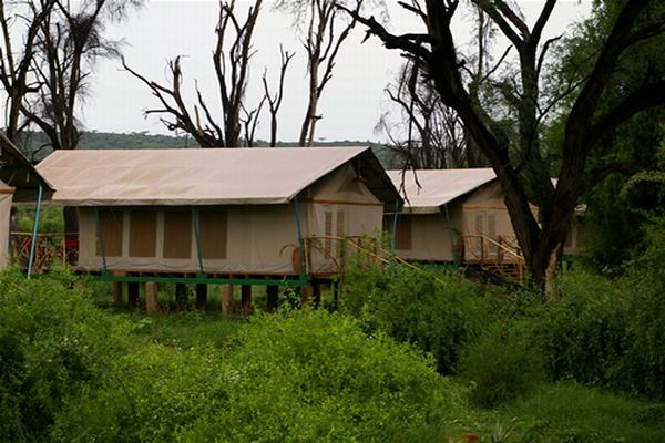 4 Days Great Migration Safari with Camping in Masai Mara, Kenya Tour