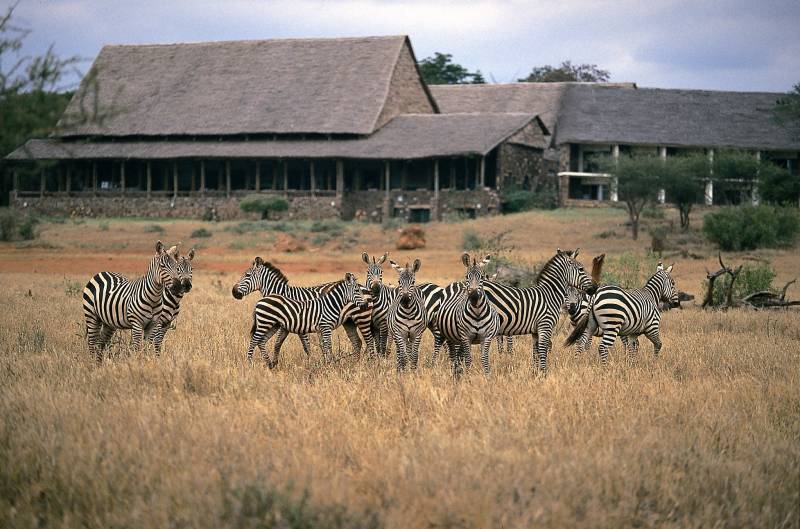 3 Days Luxury Wildlife Safari in Amboseli National Park, Kenya Tour