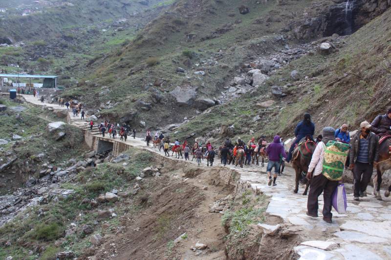 Dhoom Dham Char Dham Yatra
