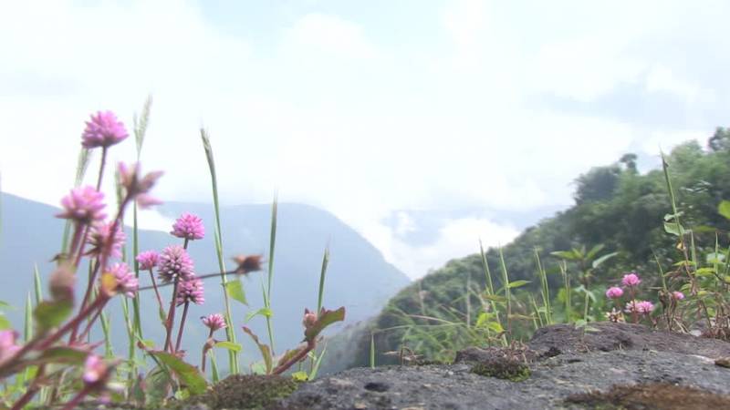 Honeymoon in Shillong - Cherapunji, 5Night's 6 Day's Tour