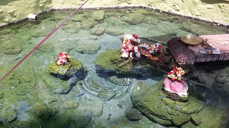 Bhubneswar - Konark - Puri - Chilka, 8Night's 9Day's Tour