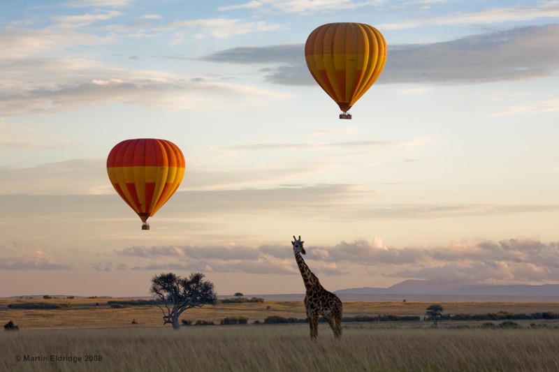 3 Days 2 Nights Masai Mara Balloon Combined Short Safari Itinerary Tour